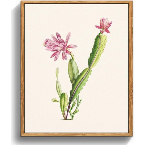 Vintage Botanische Leinwand Bilder 20x25 cm mit Holzrahmen Kaktus Rosa Blumen (1/5)
