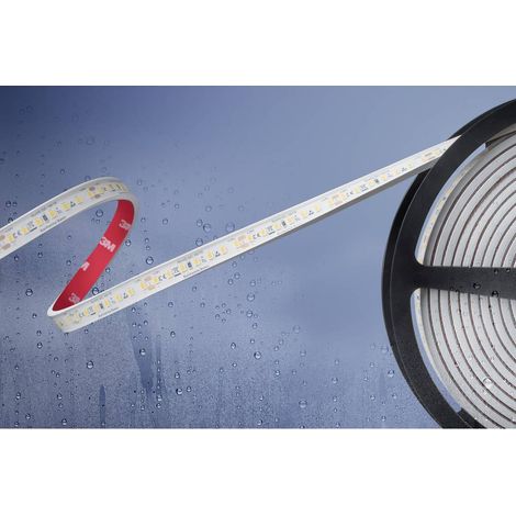 Ruban LED Barthelme Basic 51540533 avec câble à extrémités ouvertes 24 V 5 m N/A 1 pc(s) (1/2)