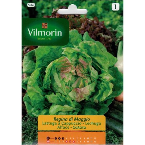 Salatsamen Reina de Mayo Vilmorin 7g