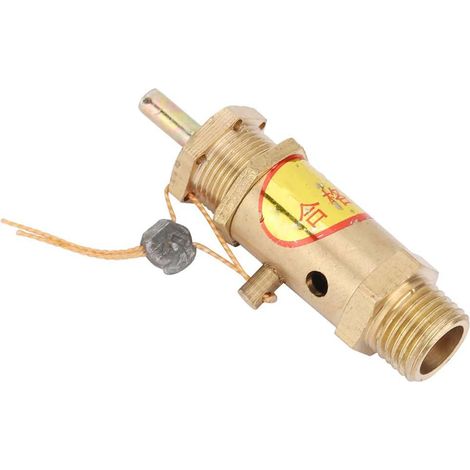 Soupape de Pression, Soupape de Décharge de sécurité pour Compresseurs d'air et Chaudières, Réglable 5 Kg, pour les Applications Industrielles (5KG) (1/5)