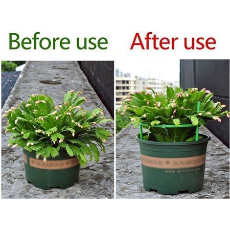 Tuteurs pour plantes grimpantes - Lot de 6 - Structure de support - Supports pour plantes - Tuteur pour tomates Femeo (1/5)