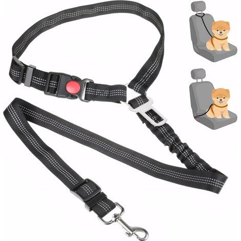 Cintura di sicurezza regolabile per cani: per comfort e sicurezza in auto.