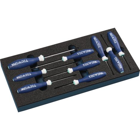 Módulo  de  herramientas  9  piezas.Módulo  1/3  T  6-T  30  TECWERK (1/2)