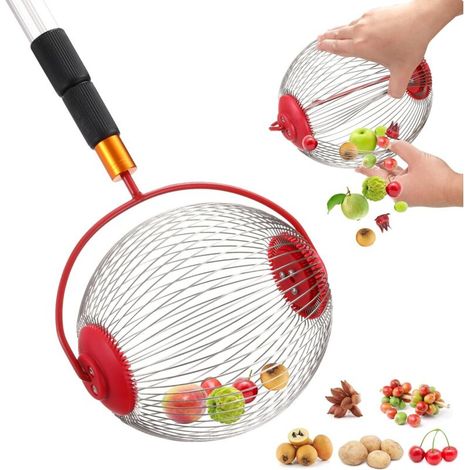 Ramasseur de Noix à Rouleau 23×19 cm – Outil Pratique pour Glands, Châtaignes et Petites Balles (1/5)