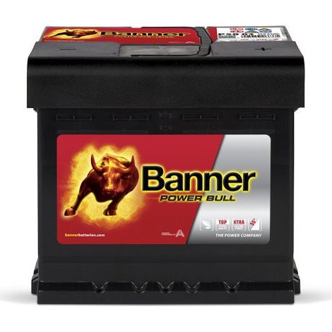 Batterie voiture 12V 50Ah P5003 – Puissance de démarrage 450A – Technologie plomb calcium sans entretien – Idéale pour voitures et camionnettes – Banner