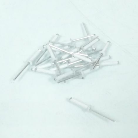 Rivet de plaque - Blanc (1/2)