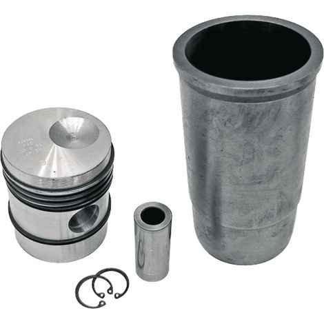Kit di riparazione pistone motore CASE IH 3054295R91 (1/2)
