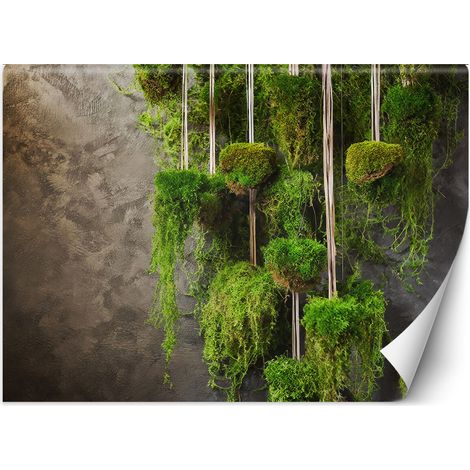 Papier peint Plante de mousse Botanique 100x70 (1/5)