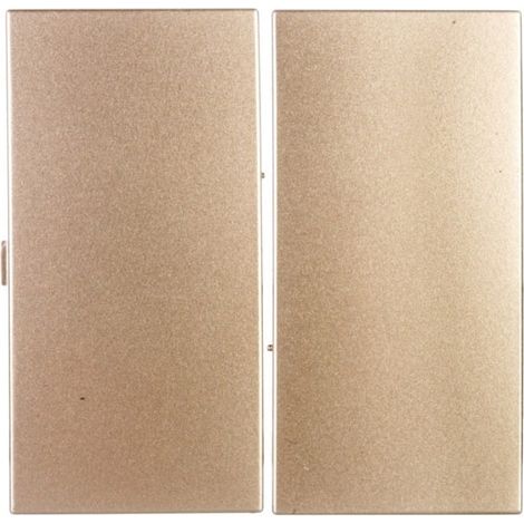 Simon 54 Llave doble para interruptores/botones dorados DKW5/44