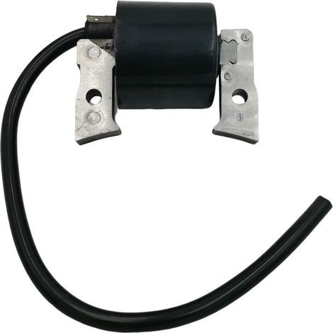 Bobine d'Allumage pour Moteur Honda FC400V et FC420V - Pièce de Rechange Réf. 21121-2008 (AM101065) (1/4)