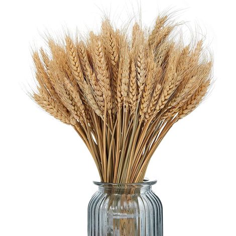 Blé séché naturel, bouquet de blé, fleurs séchées pour centres de table de mariage, décoration de table pour balcon ou fête en vase (marron, 40 cm) (1/3)