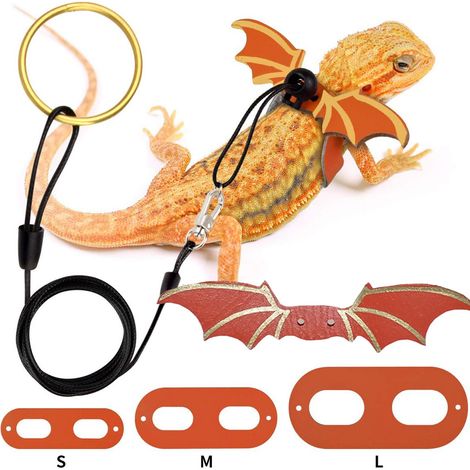 Ensemble de longes pour reptiles orange - Adapté pour une utilisation extérieure quotidienne avec vos reptiles (dragons barbus, lézards, etc.) (1/5)