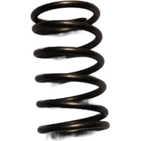 Muelle Valvulas compatible con Sr152F  Ref 974377