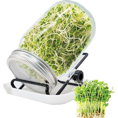 Kit de germination 1000 ml - Verre et acier 304 - Support réglable et bac - Culture légumes bio maison - Pour cuisine et éducation (1/5)