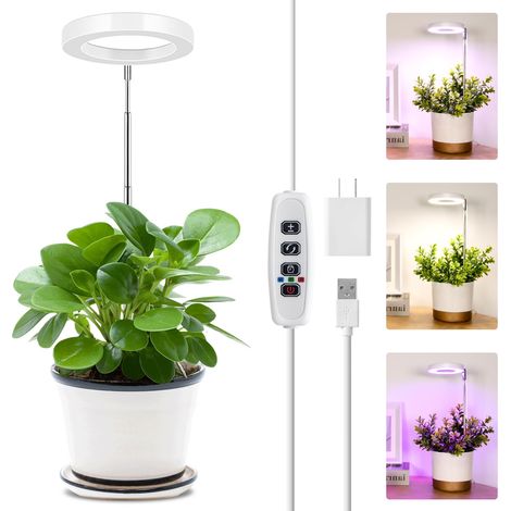 Éclairage horticole, lampes à spectre complet et à spectre rouge et bleu pour plantes en pot-AquaForge (1/5)