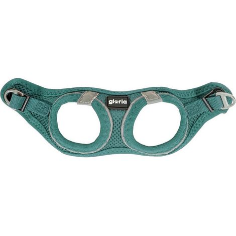 Imbracatura per Cani Gloria Air Mesh Trek Star Regolabile Turchese Taglia XXXS (18-20 cm) (1/4)