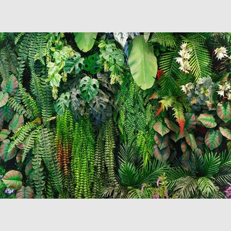Papier peint intissé - Évasion verdoyante - 375x270 cm (1/4)