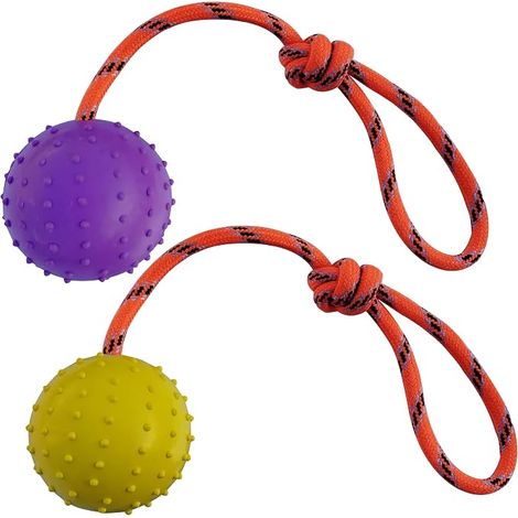 Natural Rubber Hollow Ball for Catching, Throwing and Towing War Not for Strong Chewing Dogs (S, Purple + Yellow) (1/4)