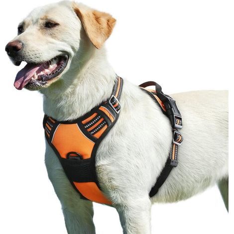 Pettorina per cani, pettorina anti-tiro riflettente regolabile, facile da indossare, con maniglia di controllo, robusta e traspirante, per cani di taglia media e grande, arancione, L (1/5)
