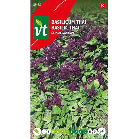 Basilic Thai - Ca. 0,4 gr (Livraison Gratuite)