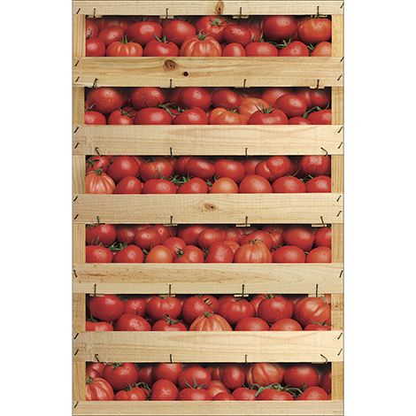 Sticker réfrigérateur et lave vaisselle, tomates fraîcheur cuisine déco, 75 cm X 49 cm