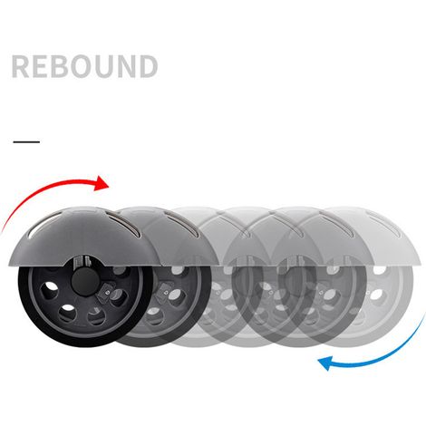 Roue abdominale à double roue avec rebond automatique, appareil de fitness abdominal pour hommes et femmes débutants, utilisation intérieure et extérieure, gris (1/5)
