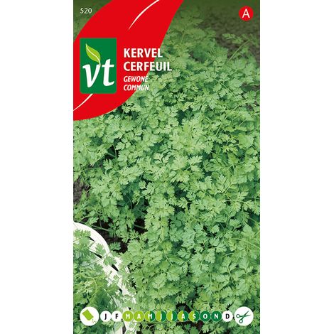 Cerfeuil Commun - Ca. 8 gr (Livraison Gratuite) (1/2)