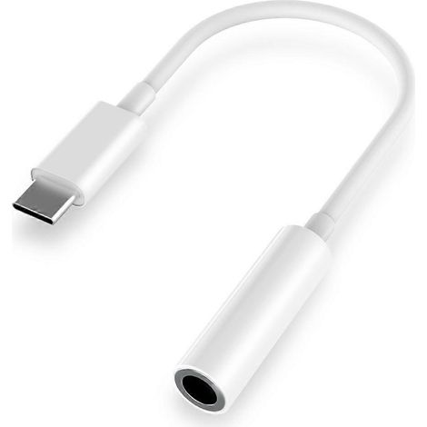 Adaptateur audio numérique 2 en 1 Type-C vers câble audio 3,5 mm pour casque Pro (1/4)