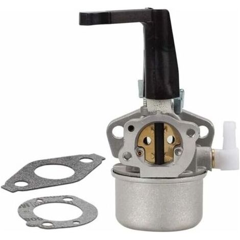 Lntyq Kit de carburateur pour motoculteur Briggs Stratton 696065 - Pièces de rechange avec joint en métal (1/3)