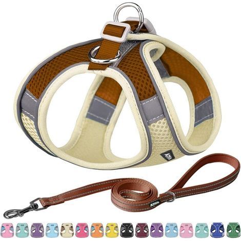 Ensemble Harnais et Laisse Anti-Traction pour Chien, Harnais réglable avec Gilet rembourré pour Tous Les Temps, Laisse pour Chien avec poignée rembourrée Douce, Facile à Mettre sur Les Chiens (1/5)
