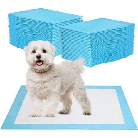 40 Pièces Alaise pour Chien 60 × 60 cm Tapis Absorbant Chien, Super Absorbants Alèse Jetable pour Chien, Anti-Fuite et Résistante (1/5)