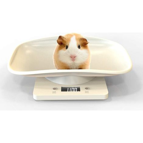 10kg/22lb Balance Numérique pour Animaux avec écran LCD, 4 Modes de Pondération (oz/ML/LB/g) pour Les Animaux et La Cuisine Mesurant Les Chats, Les Chiens, La Nourriture (1/5)