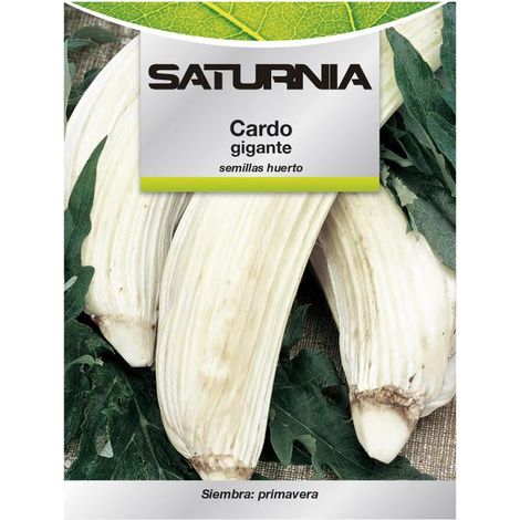 Semillas Huerto Cardo (1/2)