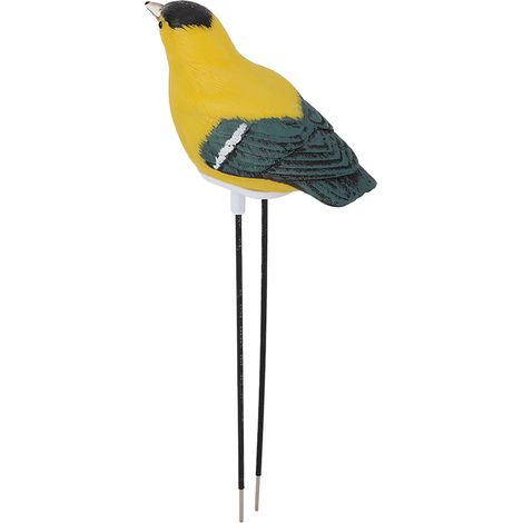 sifflet en forme d'oiseau, hygromètre, testeur d'humidité pour la végétation, dispositif d'alarme (1/4)
