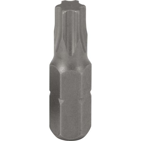 1 - Embout De Vissage - Torx T40 - Acier Nickelé - Pour Visseuse Et Usage Manuel - Atelier Et Industrie - Argent - 30x1,6 Cm