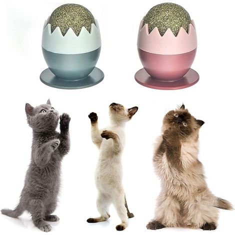 Chat Boule Menthe, Lot de 2 Jouet de Boules Cataire Comestibles, Boule de cataire, Herbe à Chat Sûre et Saine, Boule Herbe a Chat, Jouet Boule d'herbe à Chat, Balles d'herbe à Chat pour Chat (1/5)