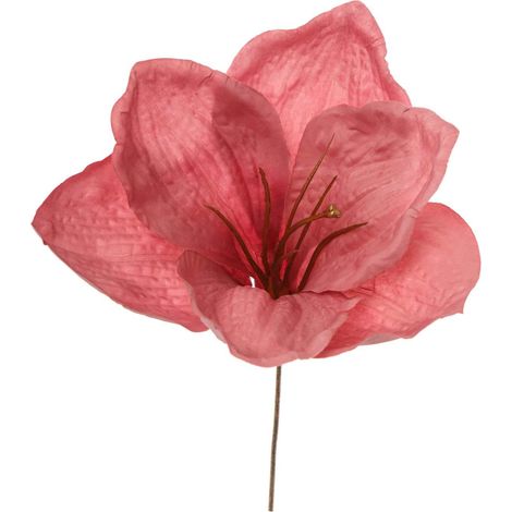 ARPIMEX Pick Amarillys D 16 Cm H 18 Cm Rosa