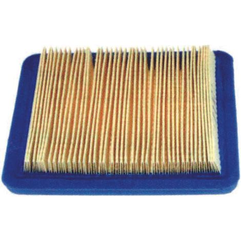 Filtro aria per rasaerba - per ns. cod.259729 (cdf07156) cc.139 - Specifiche: per ns. cod.165341 (CDF03781) cc.173