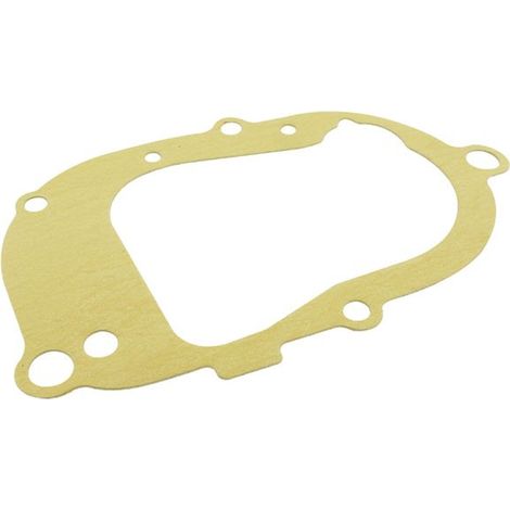 MOTOFORCE BW'S SLIDER SPY BWS GETRIEBEDICHTUNG (1/3)