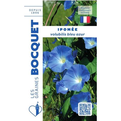 Ipomée volubilis bleu azur - 3g