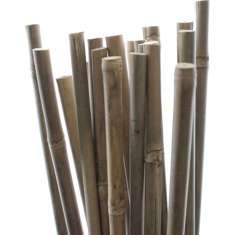 Tuteurs Bambou 90 cm - Pack de 25 pcs (1/3)