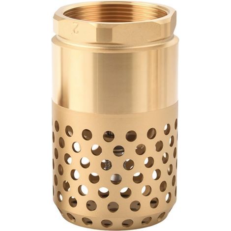 Clapet de pied en laiton Vanne anti-retour pour pompe à eau Vanne de fond filtrante 1 pouce Vanne de pompe en laiton anti-fuite pour systèmes d'eau(DN25 1 Inch Large) (1/4)