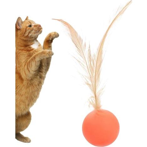Balle pour chat Jouet à rouler Balle sensorielle à plumes pour jouer à l'intérieur et à l'extérieur, poursuivre, bouger, faire de l'exercice et combattre l'ennui (1/5)