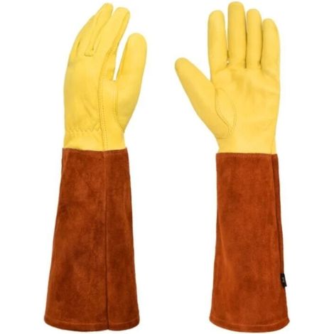 Ensemble Outils Jardinage Gants Cuir Résistants Perforations Marron Grand (1/4)