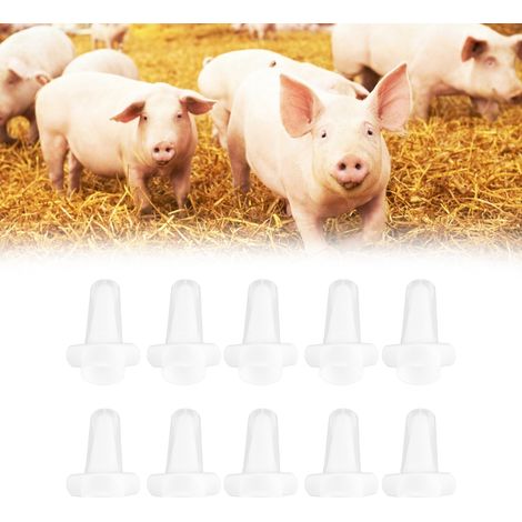 Nasenspraydüsen für Ferkel – 10 Stück – PP-Material – 3,7 cm – Transparent (1/5)