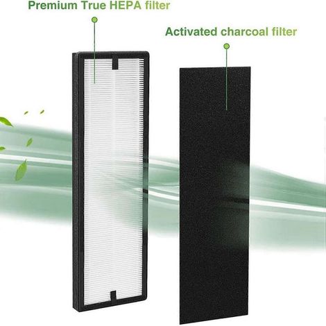 Ersatz-HEPA-Filter + 4 Aktivkohlefilter, für Eureka NEA120 (1/4)