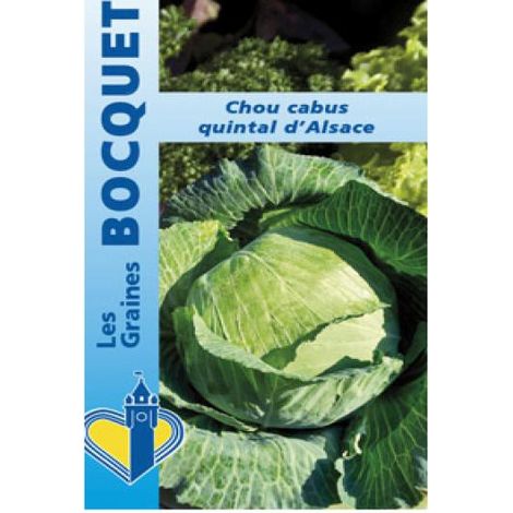 Chou cabus 'Quintal d'Alsace' le sachet de 600 graines (3g)
