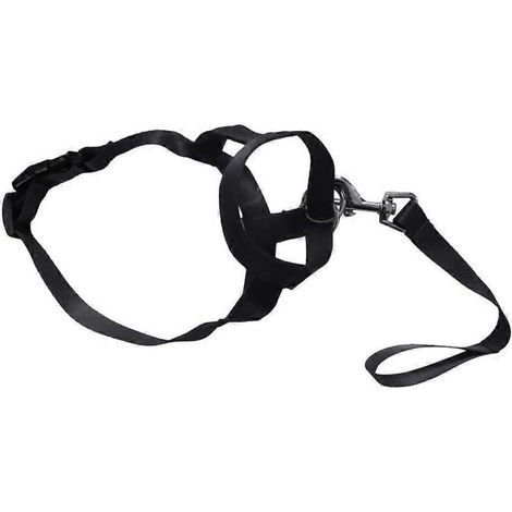 Muselière chien en nylon doux et élastique, couvre-bouche ventilé anti-morsure pour chien XXL noir (190 caractères)