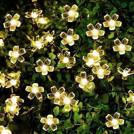 Guirnalda de luces LED solares blancas cálidas de 6,5 m con forma de flor, ideales para decoración de jardines, bodas, Navidad y fiestas. (1/5)