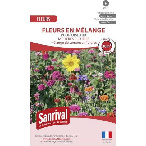 Jachère fleurie pour oiseaux